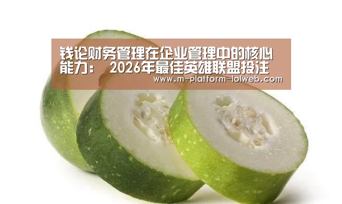 钱论财务管理在企业管理中的核心能力： 2026年最佳英雄联盟