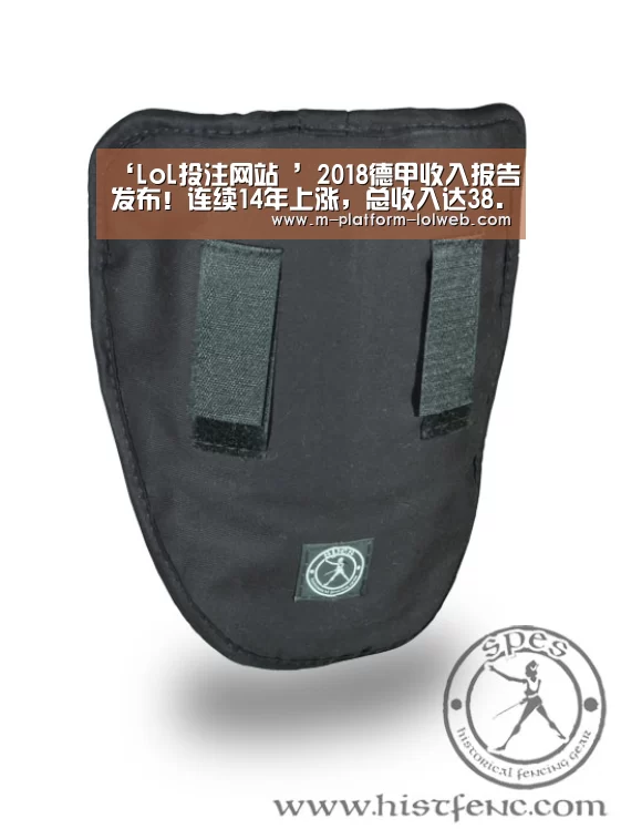 ‘LoL投注网站 ’2018德甲收入报告发布!连续14年上涨,总收入达38.1亿欧(图2) 2026年最佳英雄联盟投注网站