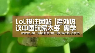LoL投注网站 |老外热议中国玩家太多 需学普通话保命(图4) 2026年最佳英雄联盟投注网站