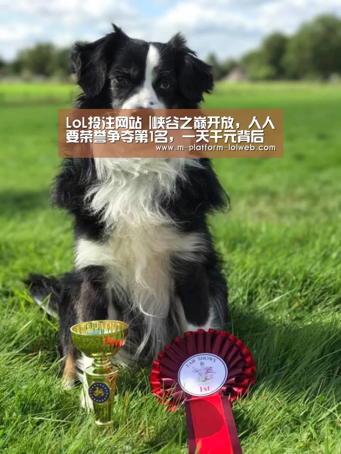 LoL投注网站 