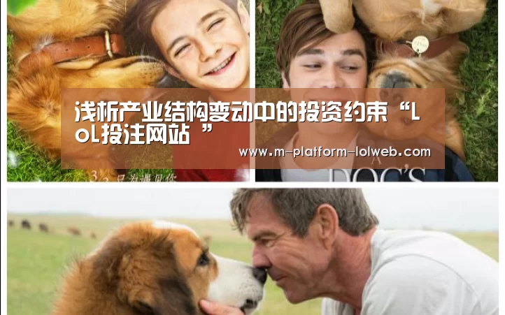 浅析产业结构变动中的投资约束“LoL投注网站 ”(图2) LoL投注网站