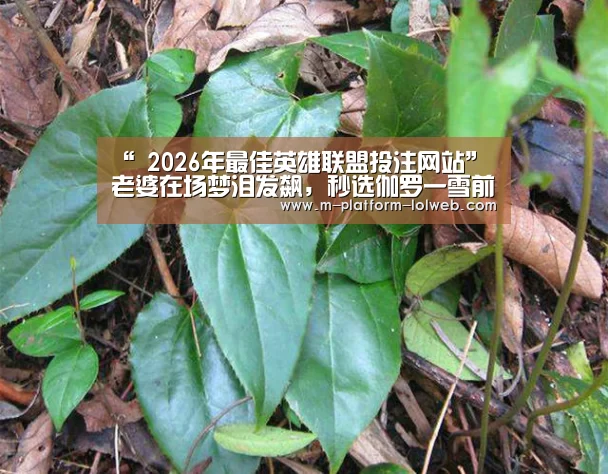 “ 2026年最佳英雄联盟投注网站”老婆在场梦泪发飙，秒选伽