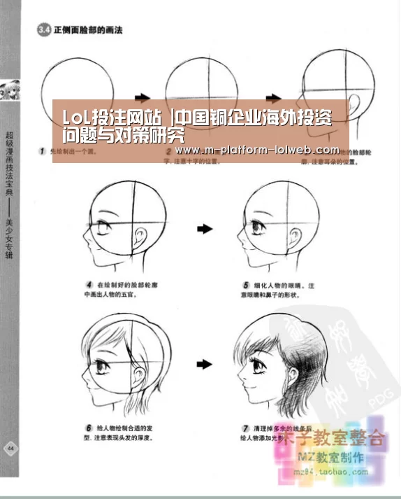 LoL投注网站 |中国铜企业海外投资问题与对策研究(图2) LoL投注网站