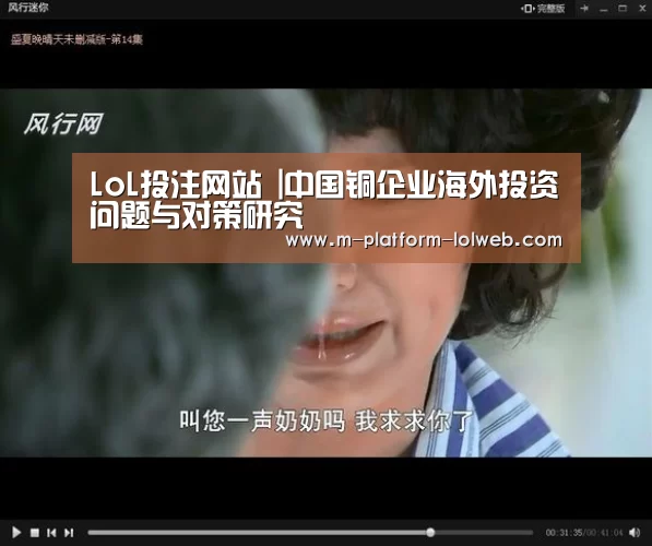 LoL投注网站 |中国铜企业海外投资问题与对策研究(图4) 2026年最佳英雄联盟投注网站